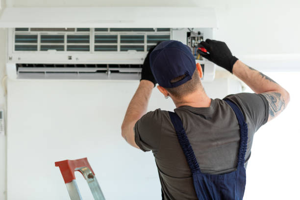 Best Air Duct Mold Removal  in Dunwoody, GA