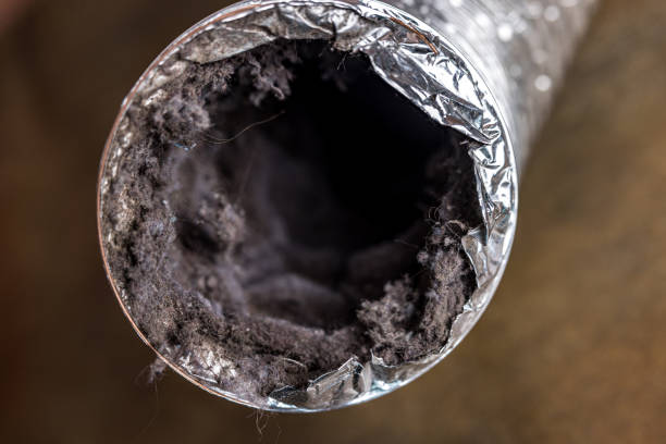 Best Best Air Duct Cleaning Company  in Dunwoody, GA